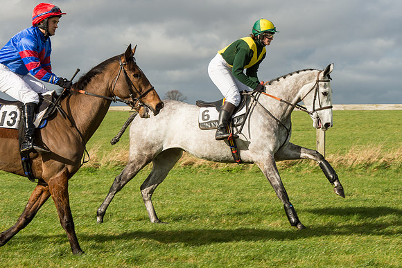 Race 2 - Young Horse Maiden (15 of 110).jpg