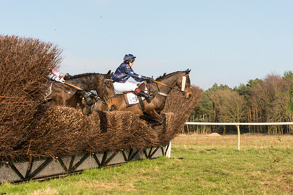 Race 5 - Restricted Race (29 of 64).jpg
