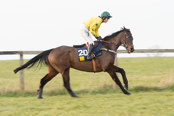 Race 6 Div 2 - Open Maiden  (45 of 131).jpg