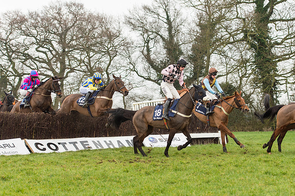 Race 5 - The Restricted Race (52 of 86).jpg
