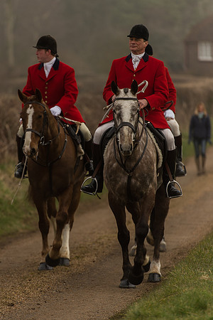 Pony Race 1 -  (2 of 31).jpg
