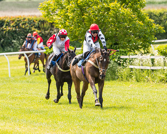 Race 1 - The Little Red owner Trainer conditions (221 of 345)