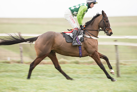 Race 2 - MAres Maiden (4 of 61).jpg