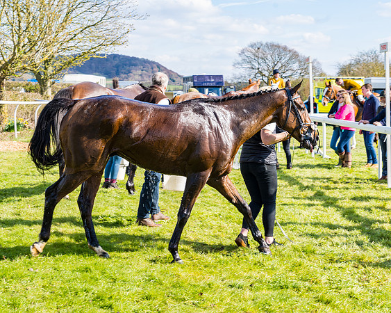 Race 4 - The Warehouse Reit Mixed Open Race  (109 of 124)