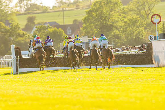 Race 4 - Foxhunters Championship (105 of 175)