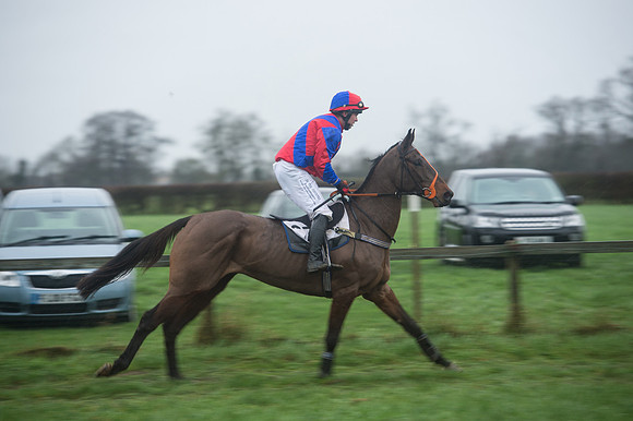 Race 7 - Open Maiden DIvision 2  (37 of 131).jpg