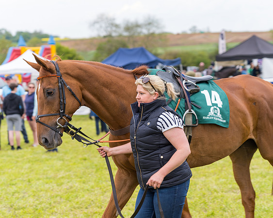 Race 7 - Veteran Horse conditions (16 of 244)