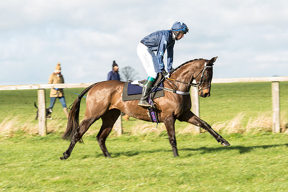 Race 1 - Intermediate Race (26 of 86).jpg