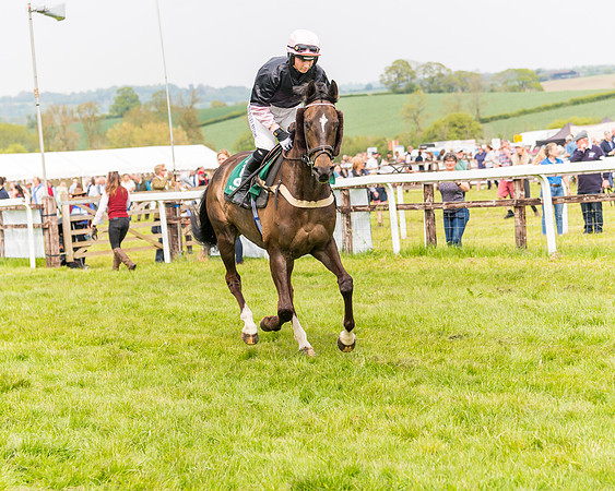 Race 2 - Owner-Trainer Conditions  (46 of 208)