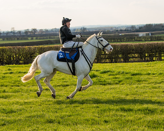Side Saddle dash  (118 of 170)