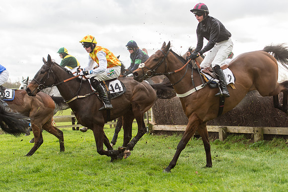 Race 2 - Young Horse Maiden (58 of 110).jpg