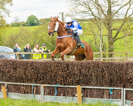 Race 2 - ROR and veteran Horse Conditions race (32 of 77)