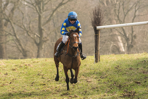 Pony Race 2 -  (29 of 32).jpg