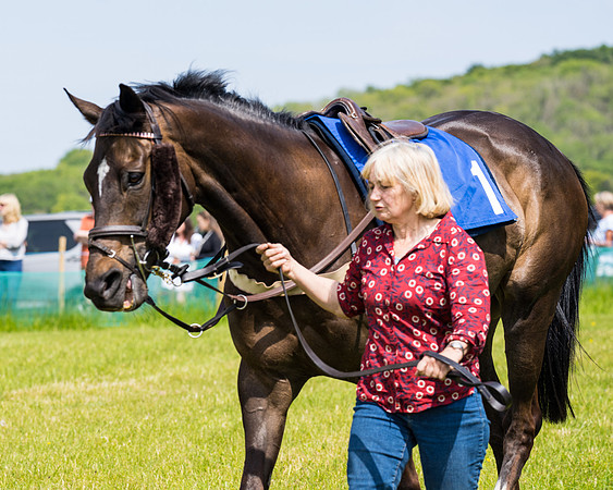 Race 1 - The Little Red owner Trainer conditions (81 of 345)