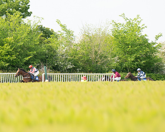 Race 4 - Mixed Open  (191 of 461)