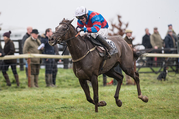 Race 5 - The Intermediate (49 of 59).jpg