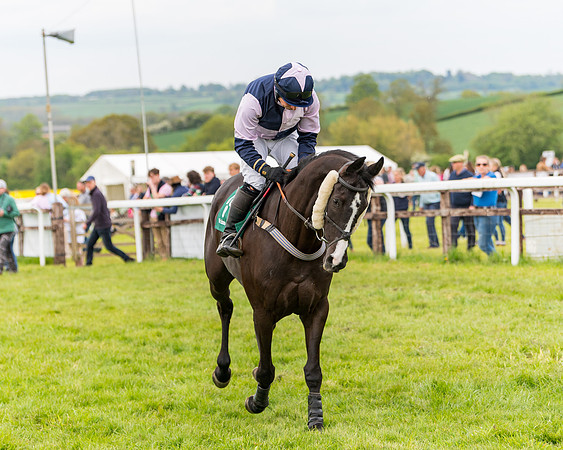 Race 7 - Veteran Horse conditions (95 of 244)