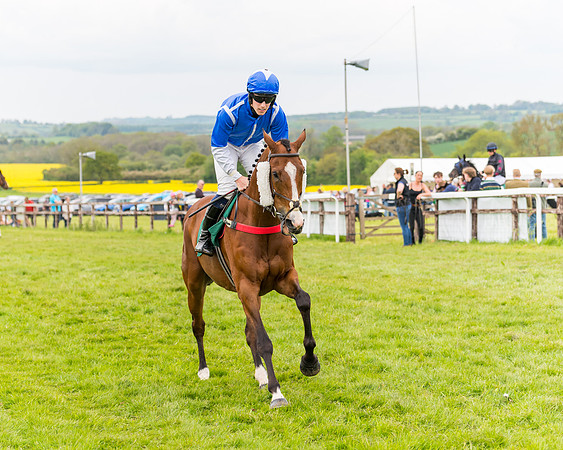 Race 7 - Veteran Horse conditions (55 of 244)