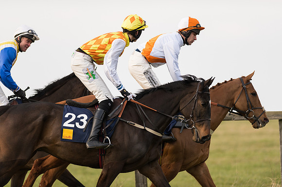 Race 6 Div 1 - Open Maiden  (29 of 116).jpg