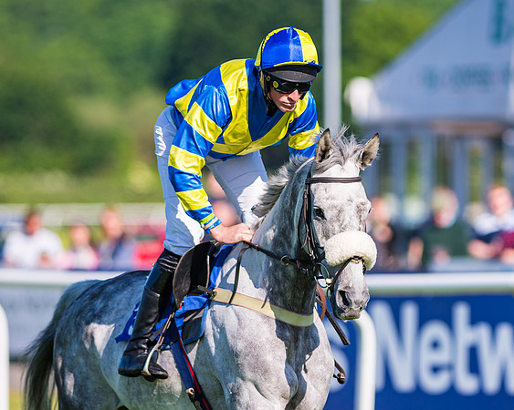 Race 1 - JFF Open Hunter Steeple Chase 2m  (24 of 202)