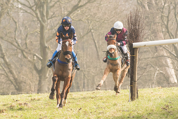 Pony Race 2 -  (21 of 32).jpg