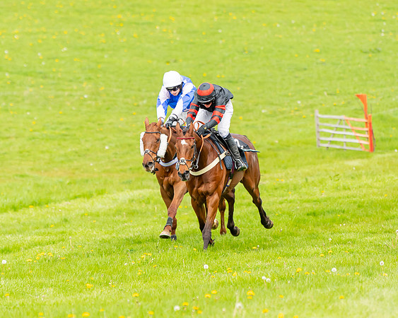 Race 2 - ROR and veteran Horse Conditions race (38 of 77)