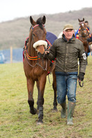 Race 2 - Open Maiden (12 of 161).jpg