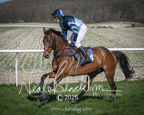 Race 6 - Veteran horse (23 of 109)