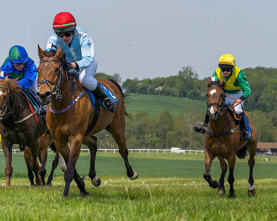 Pony Race 1 - 138cm (34 of 74)