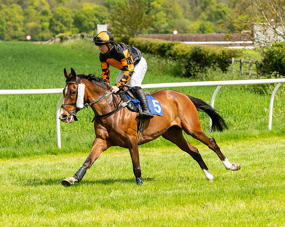 Race 1 - The Condiitions race (24 of 123)