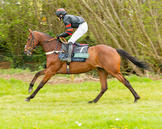 Race 2 - ROR and veteran Horse Conditions race (6 of 77)