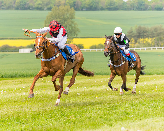 Pony Race 2 - 148cm (96 of 142)