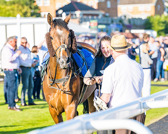 Race 4 - Foxhunters Championship (41 of 175)