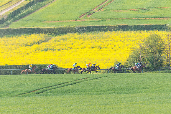Race 5 - Restricted  (55 of 164)