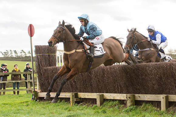 Race 2 - Young Horse Maiden (50 of 110).jpg