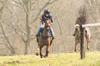 Pony Race 2 -  (20 of 32).jpg