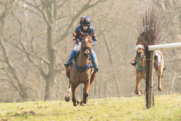 Pony Race 2 -  (20 of 32).jpg