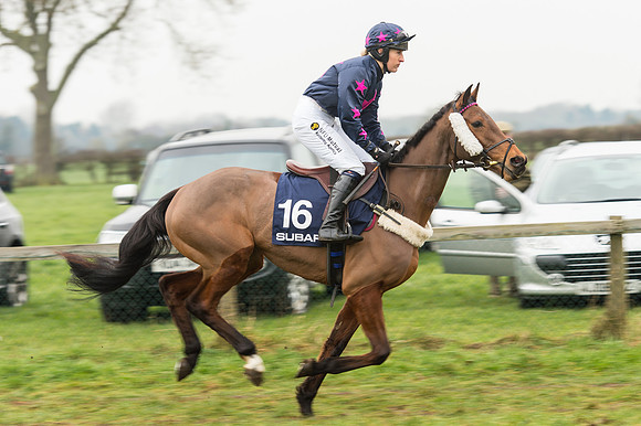 Race 5 - The Restricted Race (18 of 86).jpg