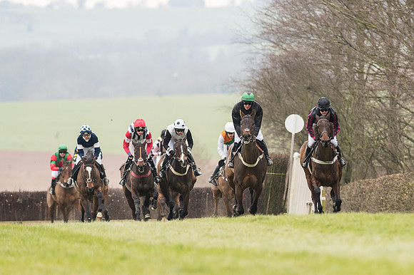 Race 2 - PPORA Novice riders  (76 of 186).jpg