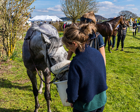 Race 4 - The Warehouse Reit Mixed Open Race  (107 of 124)