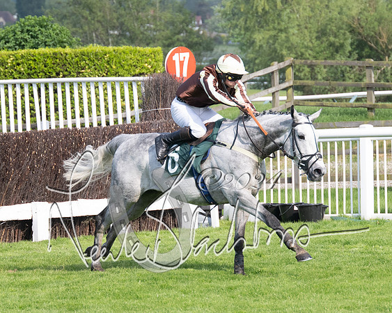 Race 1 - The Bottle Green Open Hunters steeplechase 2m62y (63 of 93)