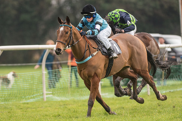 Pony Race 3 -  (13 of 20).jpg