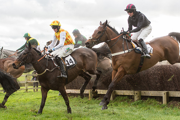 Race 2 - Young Horse Maiden (57 of 110).jpg