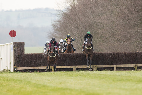 Race 2 - PPORA Novice riders  (130 of 186).jpg