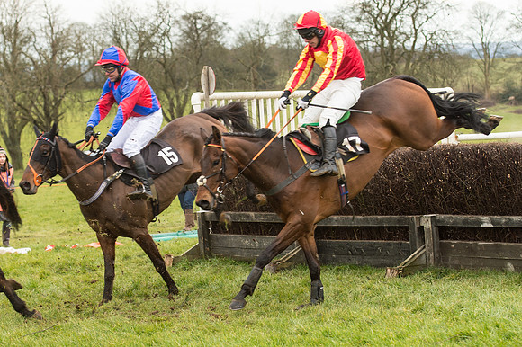 Race 5 - Open Maiden (29 of 38).jpg