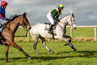 Race 2 - Young Horse Maiden (14 of 110).jpg