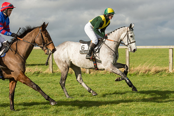Race 2 - Young Horse Maiden (14 of 110).jpg