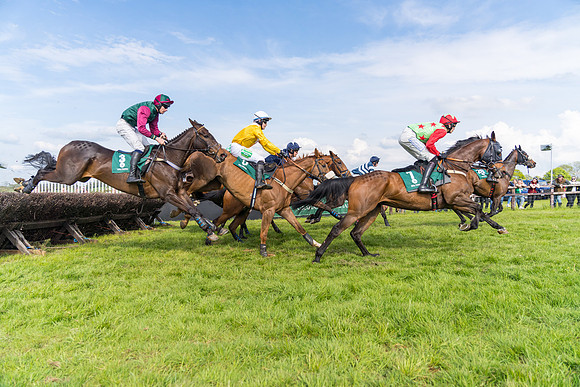 Race 5 - Restricted  (73 of 164)
