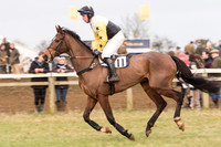 Race 7 - Yoiung Horse Maiden Race (12 of 101).jpg