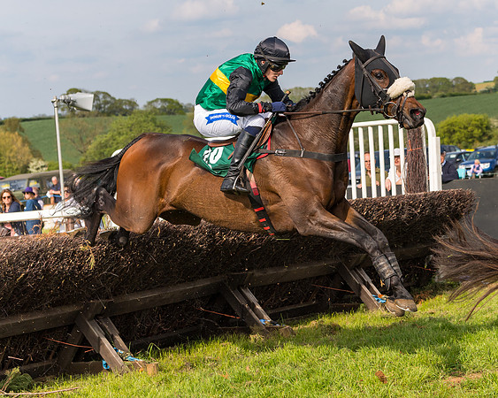 Race 5 - Restricted  (91 of 164)